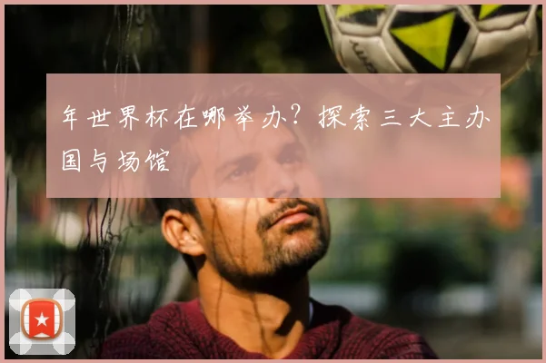 年世界杯在哪举办？探索三大主办国与场馆