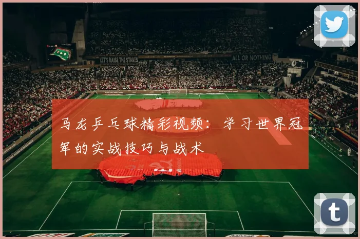 马龙乒乓球精彩视频：学习世界冠军的实战技巧与战术