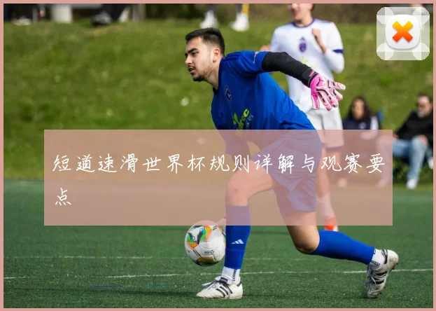 短道速滑世界杯规则详解与观赛要点