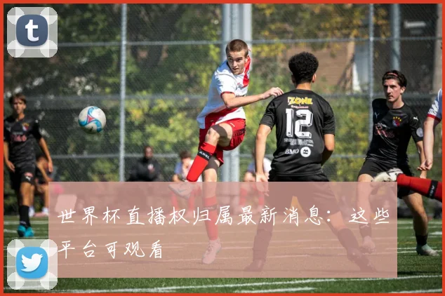 世界杯直播权归属最新消息：这些平台可观看